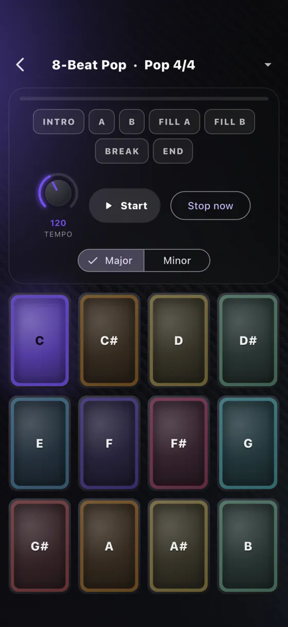 Accompaniment screen
